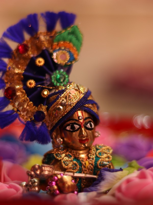 What are the rules to keep Laddu Gopal Ji at home ?