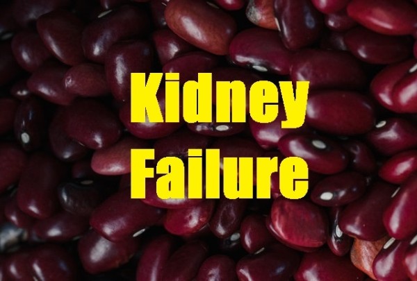 What are the signs and symptoms of kidney failure?