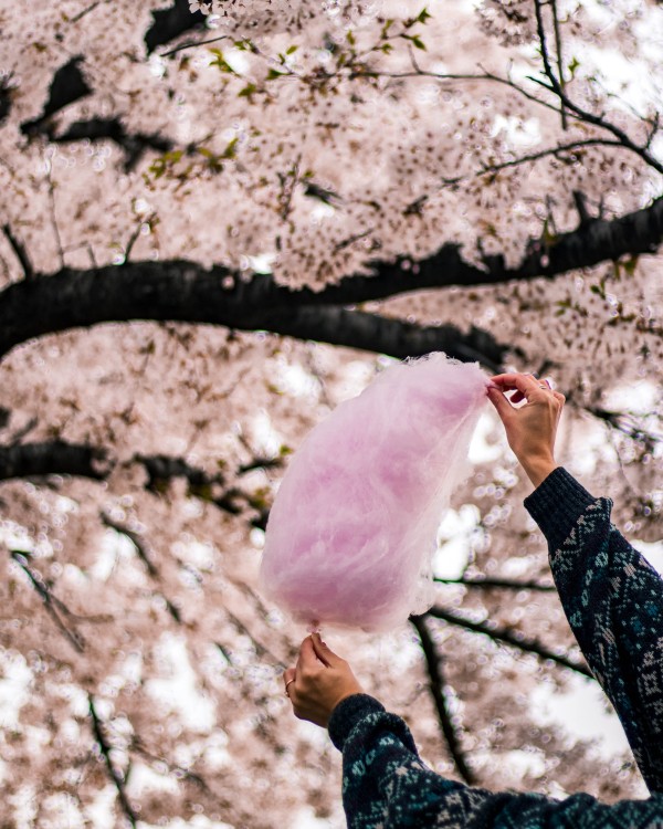 How to make cotton candy at home ?